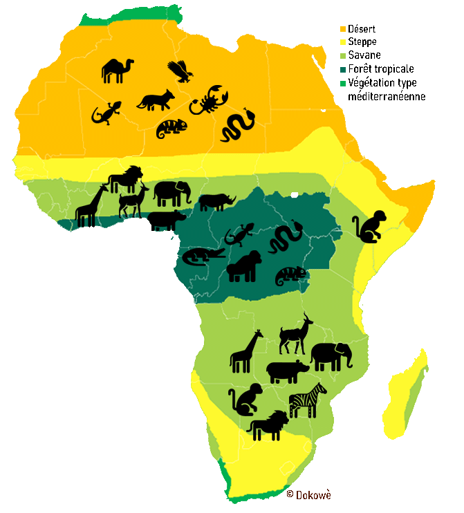 Répartition de la végétation et de la faune sur le continent africain